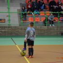 turmikol 16